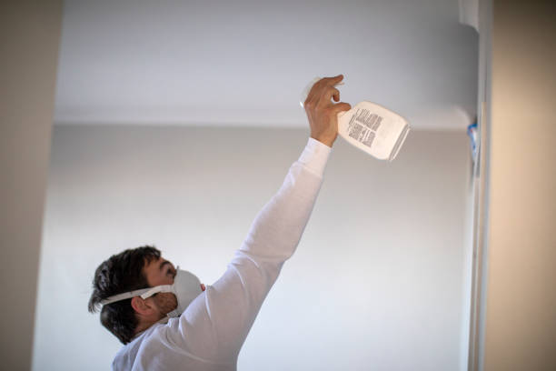 Best Fast Mold Removal  in Jefferson City, MO