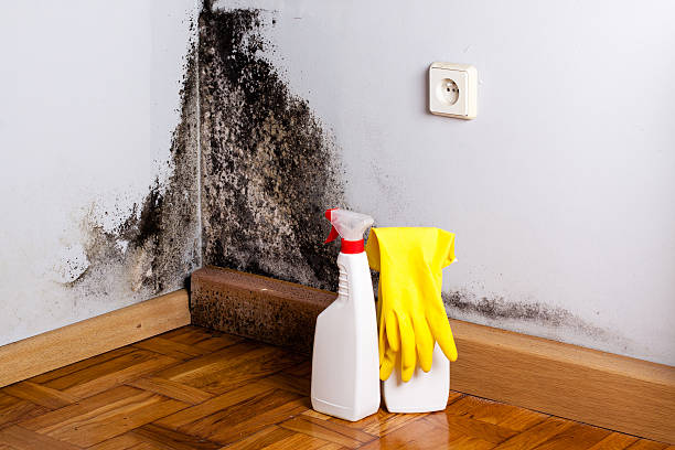 Water Damage Restoration in Jefferson City, MO